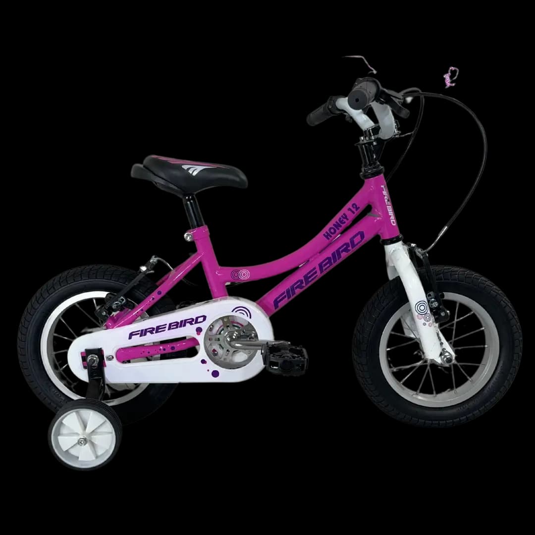 Imagen de la bicicleta BIN19035