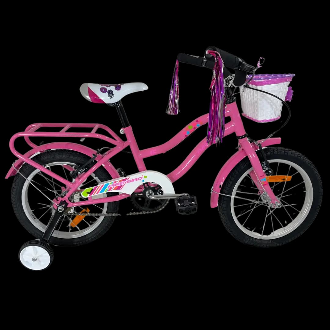 Imagen de la bicicleta BIN19058