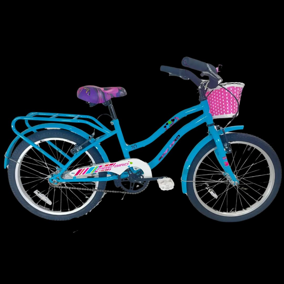 Imagen de la bicicleta BIN19333