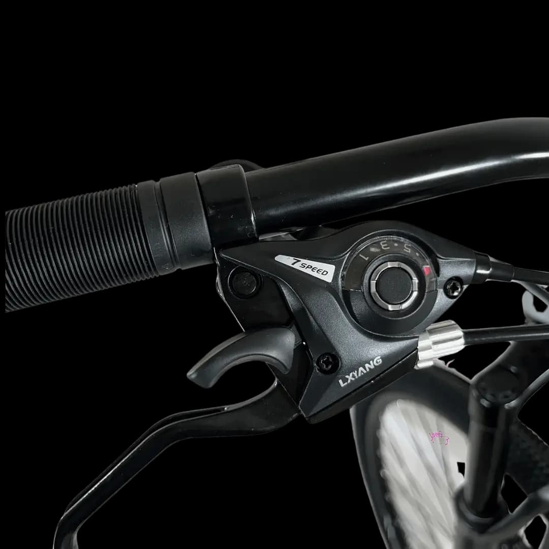 BIN29-21MGPP bicycle thumbnail 5