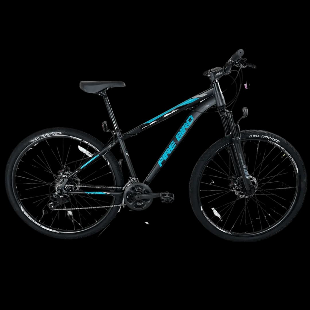 BIN29D-21ACEC bicycle 1