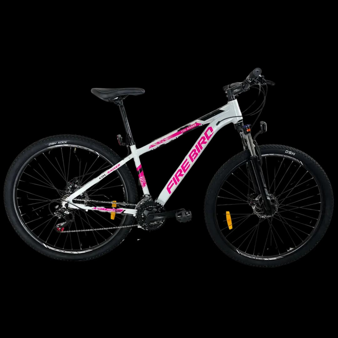 BIN29D-21ECO bicycle 1
