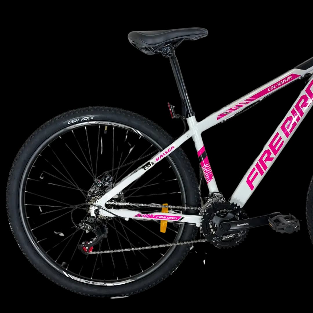 BIN29D-21ECO bicycle thumbnail 4