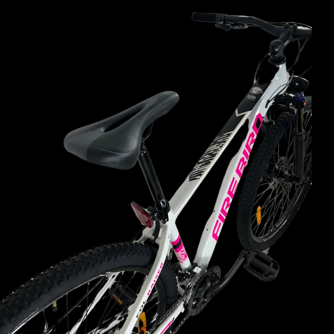 BIN29D-21ECO bicycle thumbnail 5